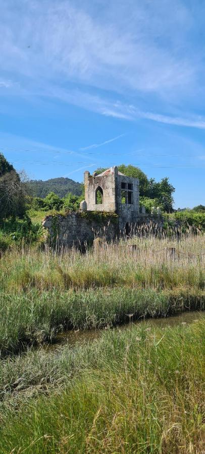 Casa Beira Rio Villa Viana do Castelo Bagian luar foto